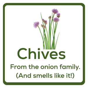 Chives