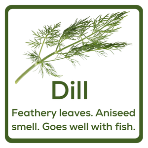 Dill