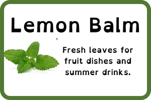 lemonbalm