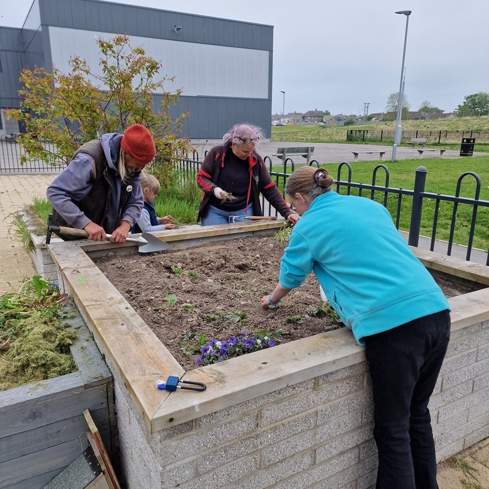 planting at the high school